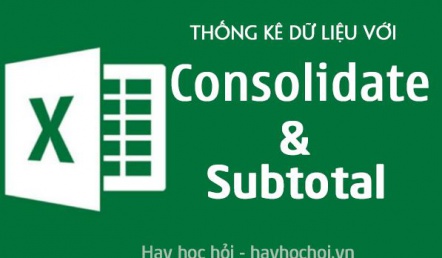 Cách sử dụng Consolidate và Subtotal để thống kê dữ liệu trong Excel - How to use Consolidate in Excel
